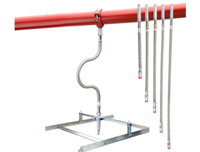 ����� ���� ����